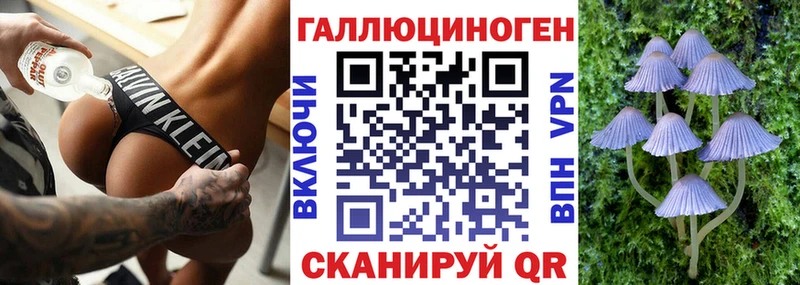 Псилоцибиновые грибы мицелий  Новоалександровск 