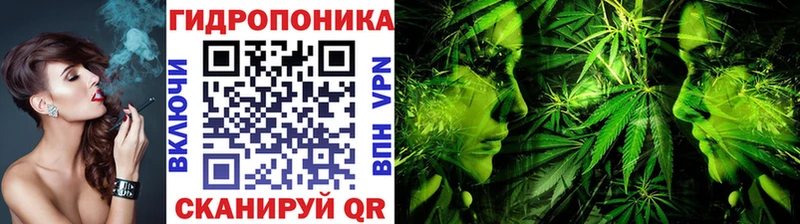 Марихуана семена Новоалександровск